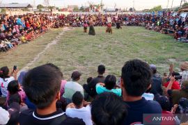 Lombok Barat gelar 