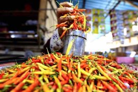Harga pangan: Capai rawit merah Rp73.037/kg, telur ayam Rp29.054/kg