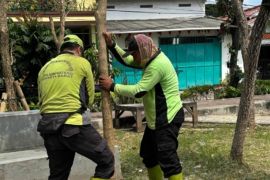 Jakbar tanam puluhan pohon di Taman Sensori Kamal