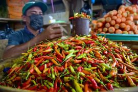 Harga pangan: Cabai rawit merah Rp68.961/kg, telur ayam Rp30.152/kg