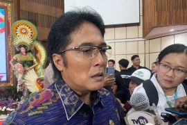 Wagub Bali respons soal Bandara Bali Utara masuk RPJMN 2025-2029