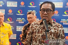 Wamenperin pastikan gangguan ormas di pabrik BYD sudah teratasi
