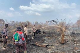 10 kabupaten/kota di Riau tetapkan status siaga karhutla