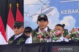 Menhut ingatkan selalu siaga meski tren karhutla menurun