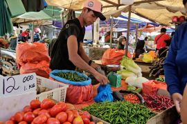 Harga berbagai jenis cabai di Batam alami penurunan