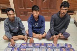 Polda Sumut gagalkan penyeludupan 30 kg sabu-sabu di Labuhanbatu Utara