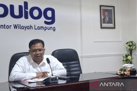 Bulog Lampung tambah 40 unit gudang sewa gabah karena gudang penuh
