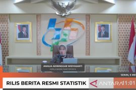 BPS sebut pertanian tumbuh double digit pertama kalinya dalam 15 tahun