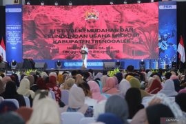 UMKM perlu perlindungan karena jadi pilar ekonomi bangsa