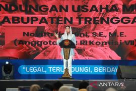 Anggota DPR: Kesejahteraan UMKM jadi fondasi ekonomi daerah dan nasional