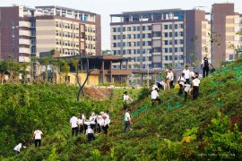 OIKN hijaukan lahan 80 hektare untuk wujudkan kota hutan inklusif