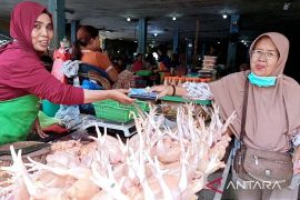 Bapanas: Harga daging ayam Rp34.438/kg, cabai rawit Rp57.117/kg