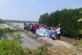 PHE OSES tanam 20.000 batang mangrove di Lampung Timur cegah abrasi