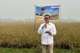 Bulog Jabar serap beras hasil panen petani 338.032 ton hingga awal Mei