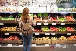 Rekomendasi makanan kaya antioksidan bantu melindungi kesehatan otak