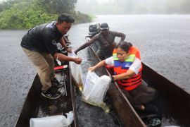 KKP lepas ratusan anakan arwana irian di Taman Nasional Warus Merauke