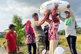 Bulog Yogyakarta : Serapan gabah capai 111.000 ton