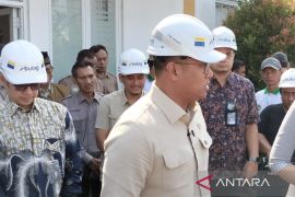 Wamentan: Indonesia siap mengekspor beras ke Malaysia