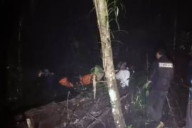 Tim SAR berhasil evakuasi pendaki yang tewas di Gunung Pesagi