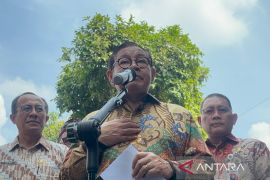 Penanganan tawuran tak hanya lewat Program Manggarai Bersholawat