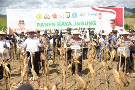Kapolri hadiri panen raya jagung di Bone dukung ketahanan pangan