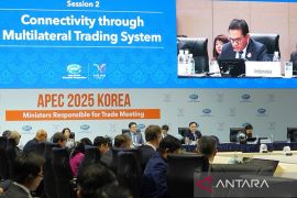 Mendag: Indonesia tegaskan dukungan reformasi WTO