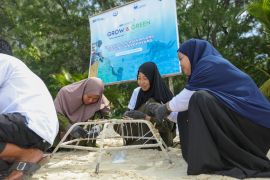 Program BRI Menanam Grow & Green sasar warga Pulau Kapoposang Pangkep