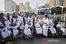 Jamaah calon haji kembali diingatkan agar ingat nomor Bus Shalawat dan terminal
