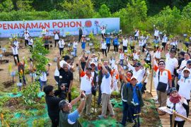 Otorita IKN sebut tanam pohon merupakan kebiasaan baru di Nusantara menuju kota hutan