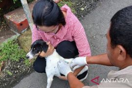 Unpatti tingkatkan pengendalian dan pencegahan rabies di Ambon