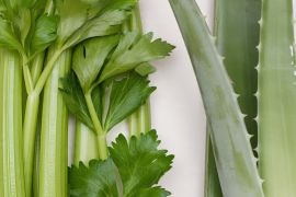 5 Tanaman liar yang sembuhkan asam urat