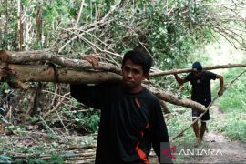 Pemkab Konsel ubah lahan tidur jadi sumber EBT kerakyatan di Sultra