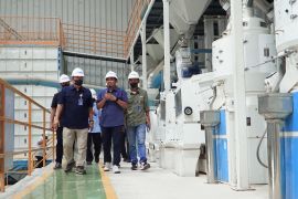 Serapan beras Bulog Jatim tembus 500 ribu ton 
