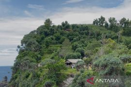 Sensasi tracking dan camping di Bukit Pengilon Gunungkidul Yogyakarta