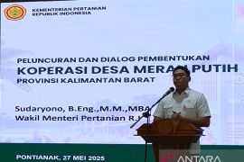 Wamentan : Peran kolaboratif dorong lonjakan produksi beras nasional