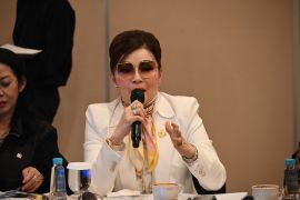 Anggota DPR: RUPTL 2025-2034 komitmen Indonesia hadapi perubahan iklim
