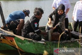 BRIN: Efisiensi pembuatan bahan bakar dari sampah mencapai 60 persen