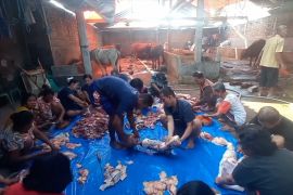 Cegah pernapasan akut, IDAI sarankan anak gunakan masker saat kurban