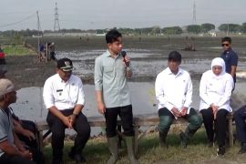 Wapres dan Mentan tanam padi di Ngawi