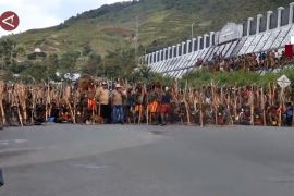 Belah Kayu Doli, simbol perdamaian konflik Pilkada Puncak Jaya