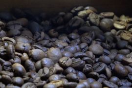 Kopi Sriwijaya: Rumah kopi lokal Sumsel untuk angkat potensi daerah