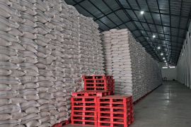 Optimalkan serapan gabah beras petani, Bulog Cabang Solo sewa 8 gudang