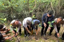 Buruh di Kepri rayakan Mayday 2025 dengan aksi menanam 1000 mangrove