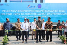 UKM binaan BNI ekspor 27 ton ikan layur ke China