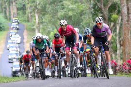 Bupati ajak wisatawan nikmati alam hingga kuliner Banyuwangi Festival