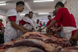 Hewan kurban tak disarankan diberi makan banyak sebelum disembelih 
