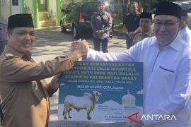 Pemprov Kalbar salurkan 49 sapi kurban ke seluruh kabupaten/kota