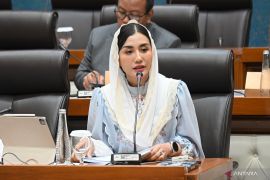 Anggota DPR: Tidak ada kompromi untuk tambang nikel di Raja Ampat