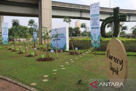 Jasamarga Transjawa tanam pohon peringati hari lingkungan hidup