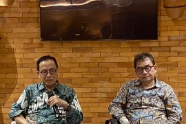 OJK berharap lebih banyak BPD yang gelar IPO di pasar modal RI